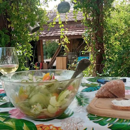 En Alsace, Le 49 Appartement Mittelbergheim Buitenkant foto