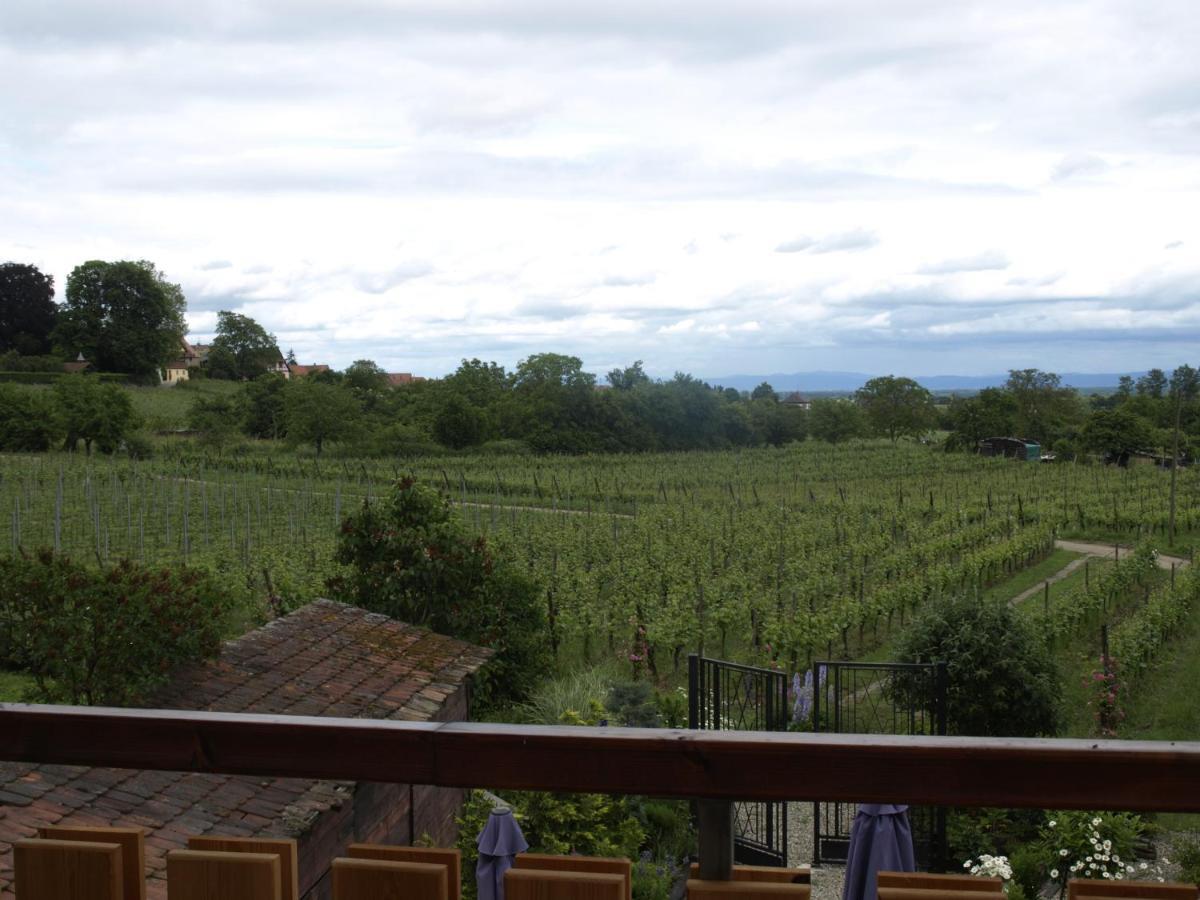 En Alsace, Le 49 Appartement Mittelbergheim Buitenkant foto